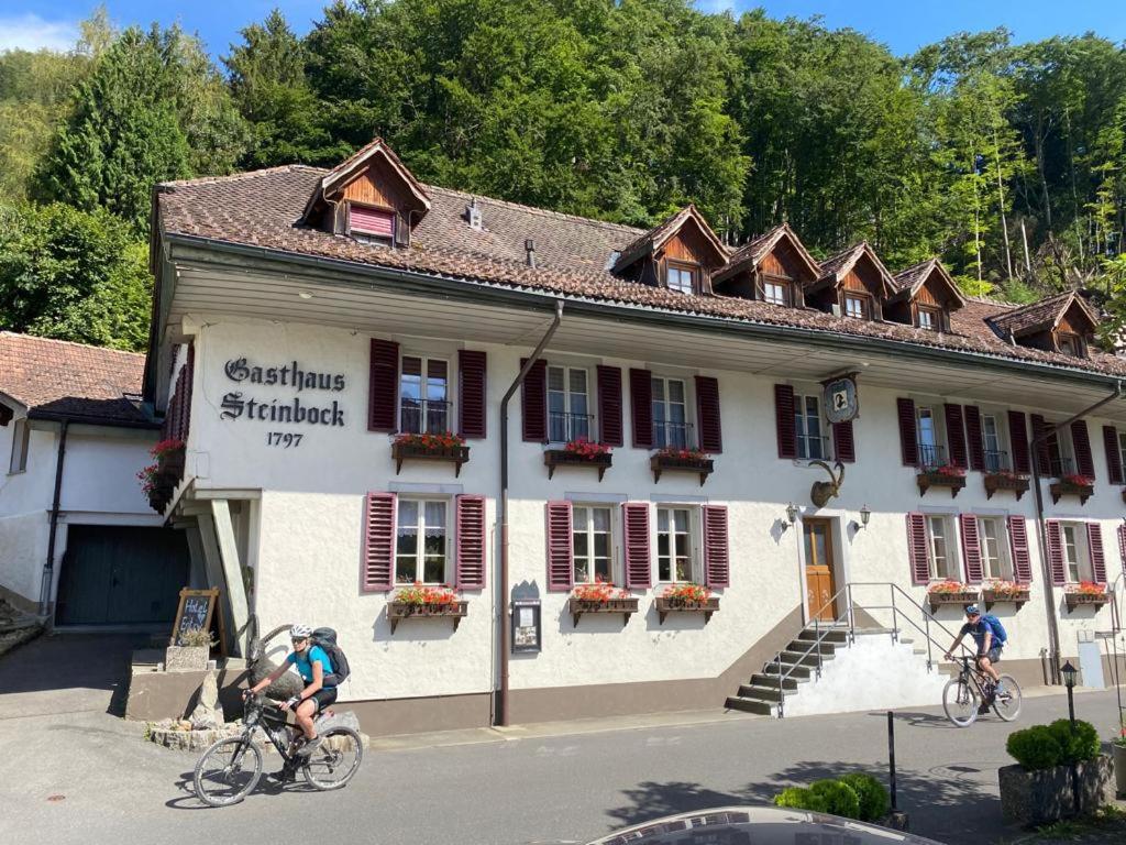Historic Hotel Steinbock Wilderswil Exteriör bild